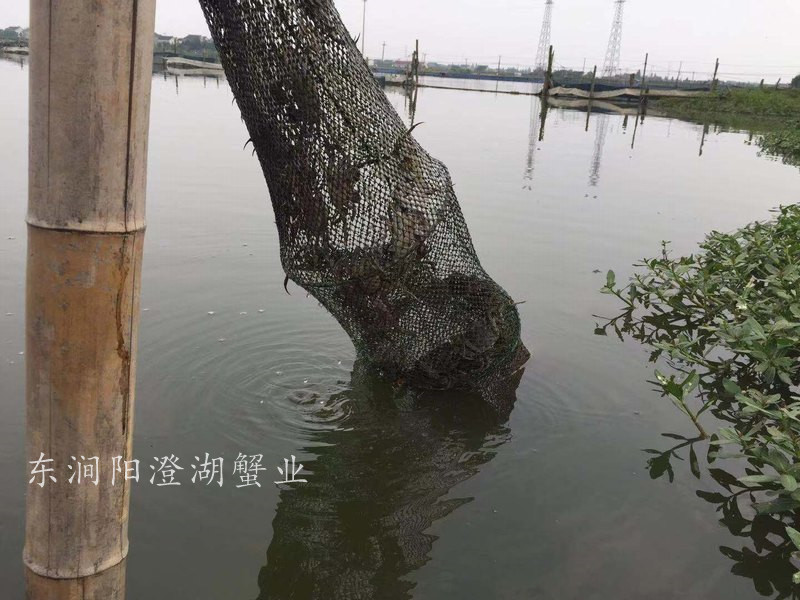 养殖基地