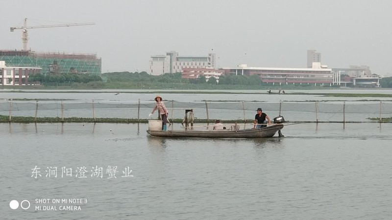 养殖基地