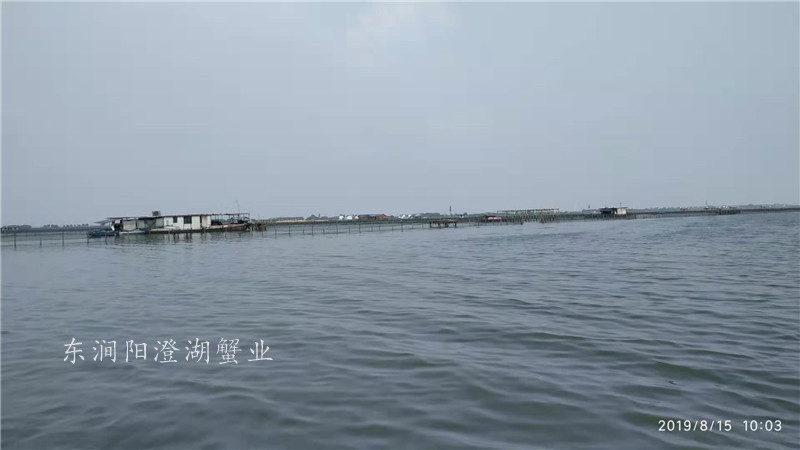 养殖基地