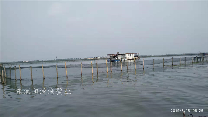 养殖基地