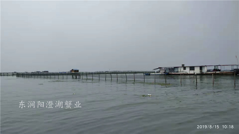 养殖基地