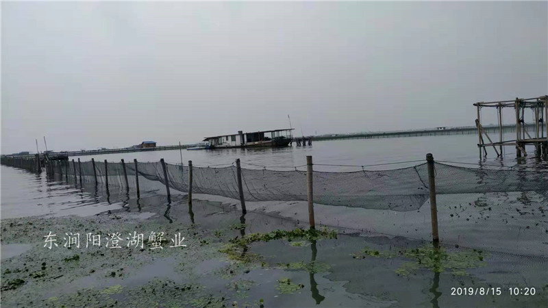 养殖基地