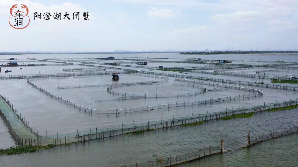 养殖基地